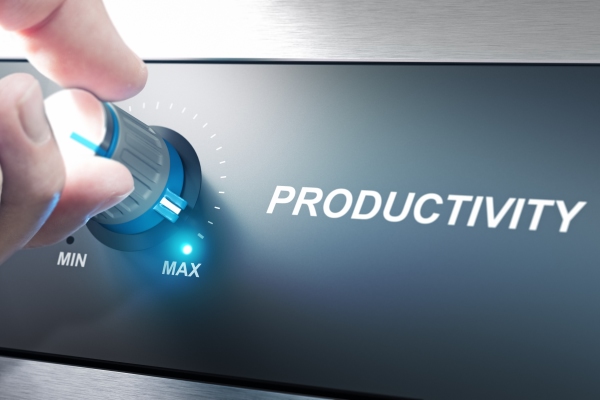 Maximum Productivity