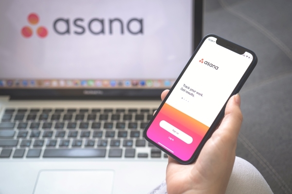 Project Management Tool Asana